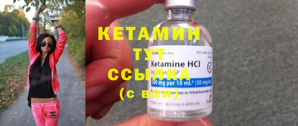 шишки Карпинск