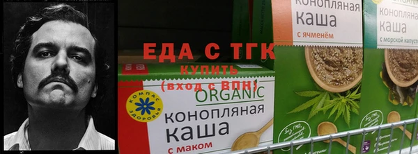 СК Кодинск