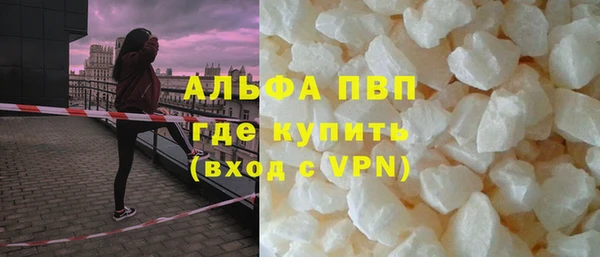 молекула духа Козельск