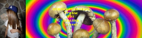 a pvp Козловка