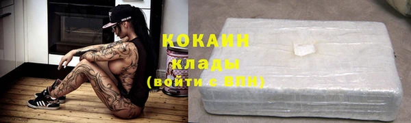 молекула духа Козельск