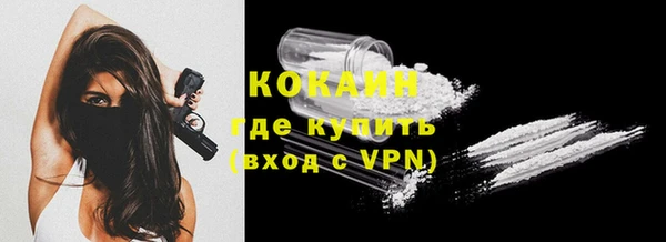 молекула духа Козельск