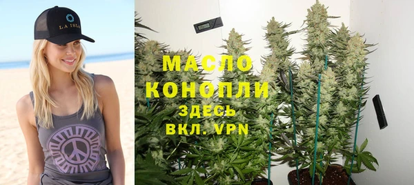 дмт Киреевск