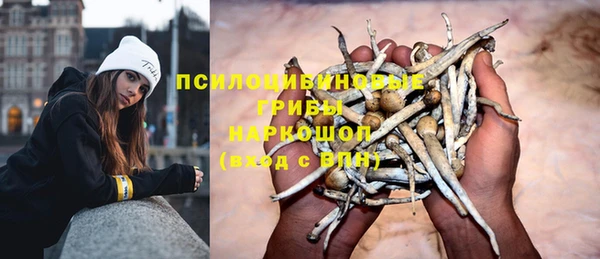 СК Кодинск